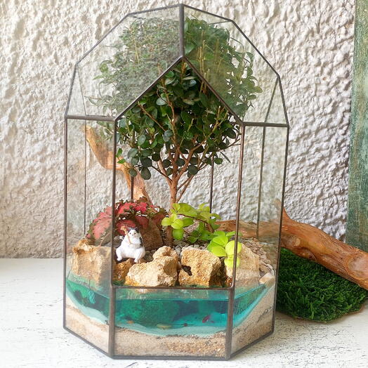 Florarium "Kot Rybak"