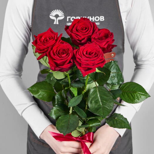 Букет на 1 Сентября из 5 роз Red Naomi под ленту