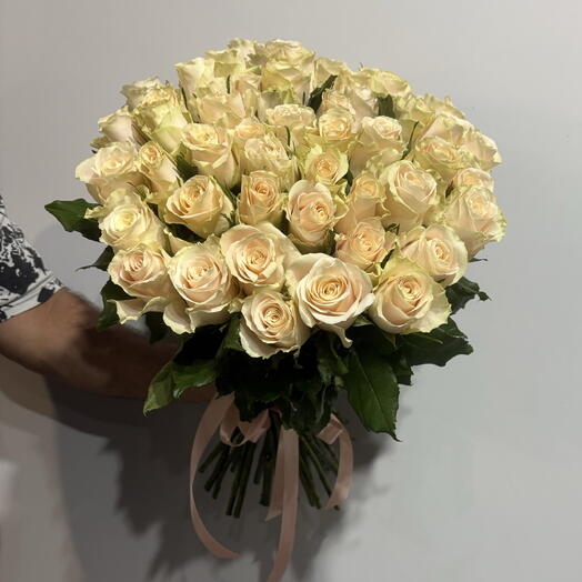 51 Роза сорт шарман