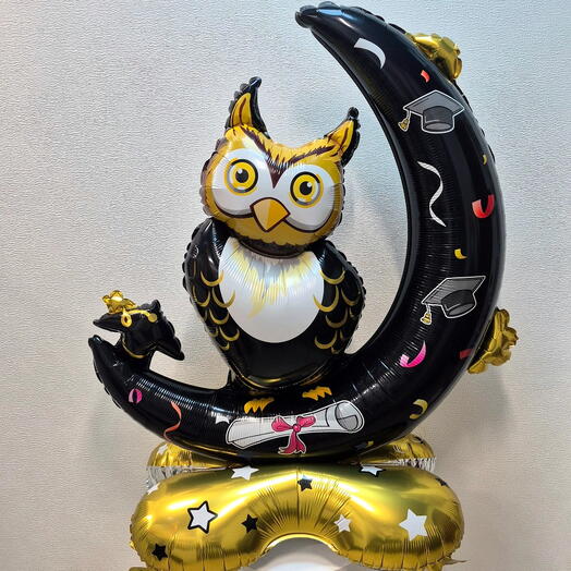 Воздушный шар "Мудрая сова" 🦉