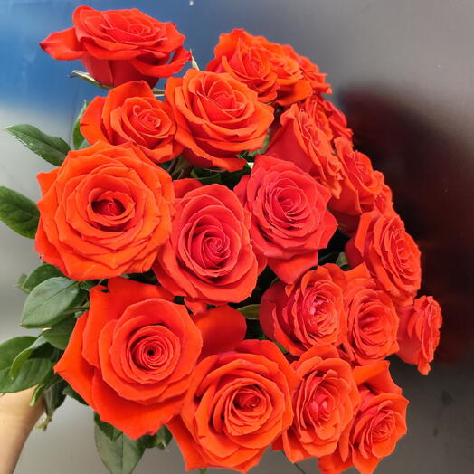 25 эквадорских роз Нина