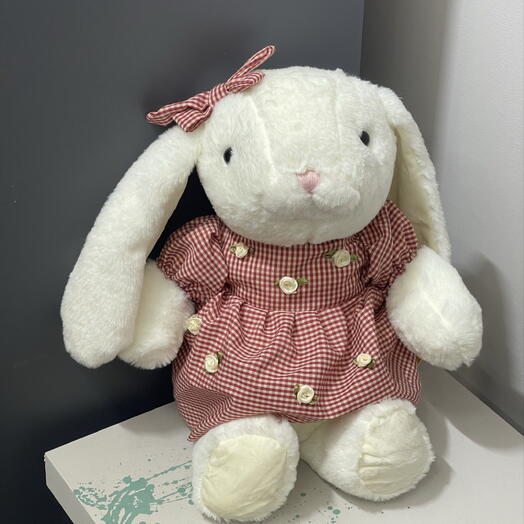 Кролик Полли/Polly the rabbit