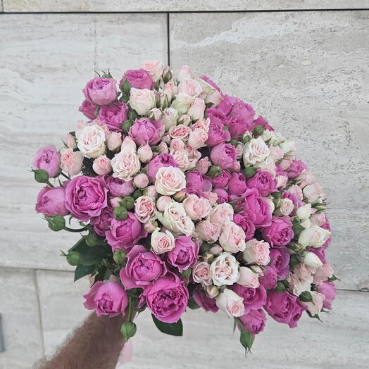 Розы ассорти мисти