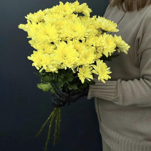 Пачка желтой хризантемы (5шт)