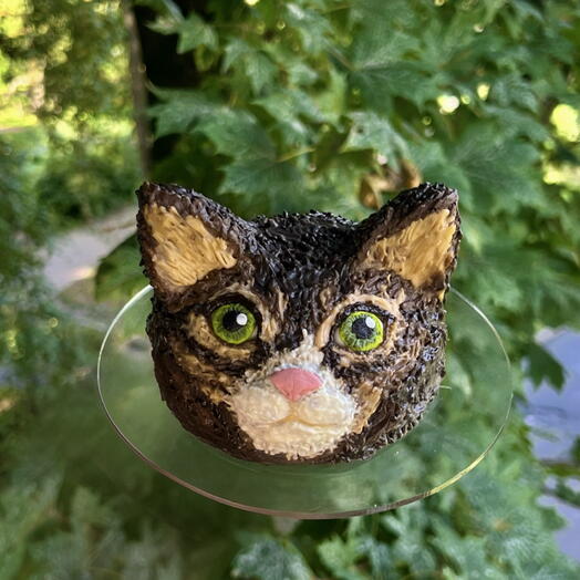 Торт котик