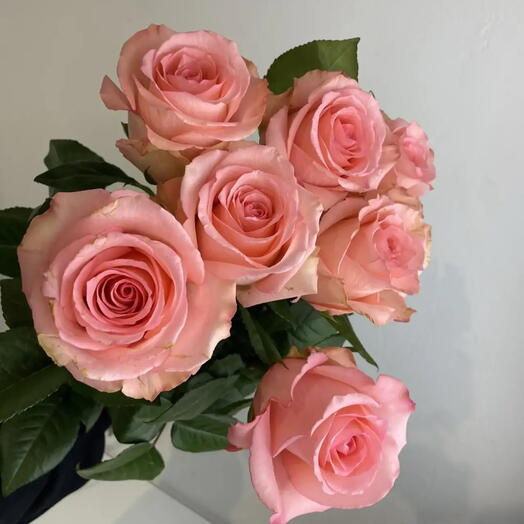 Розы нежные 🌸7