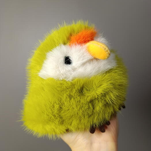 Зелёный попугай 🦜