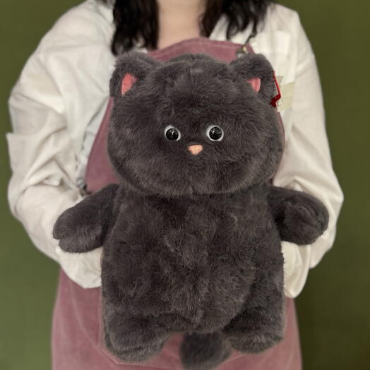 Котик Серый
