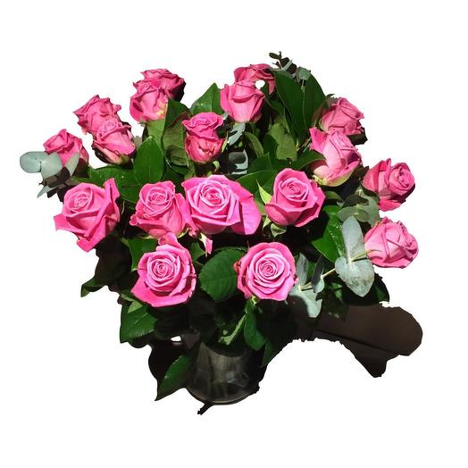 Pink roses