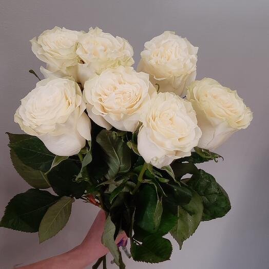 7 белых роз под ленту