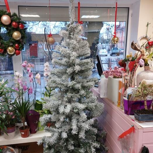 Заснеженная Елка