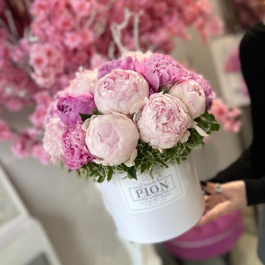 Розовые Пионы в коробке 15шт