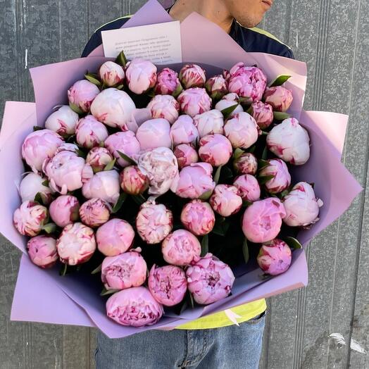 Peonías 51pcs