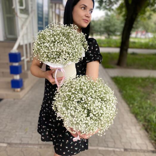 Гипсофила в коробочке