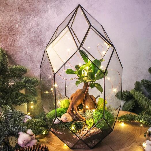 Bonsai in Andromeda - 225