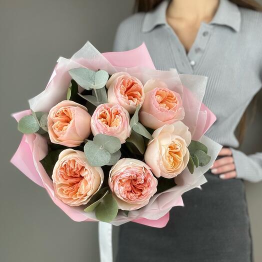 Peonía rosa Julieta 7pcs