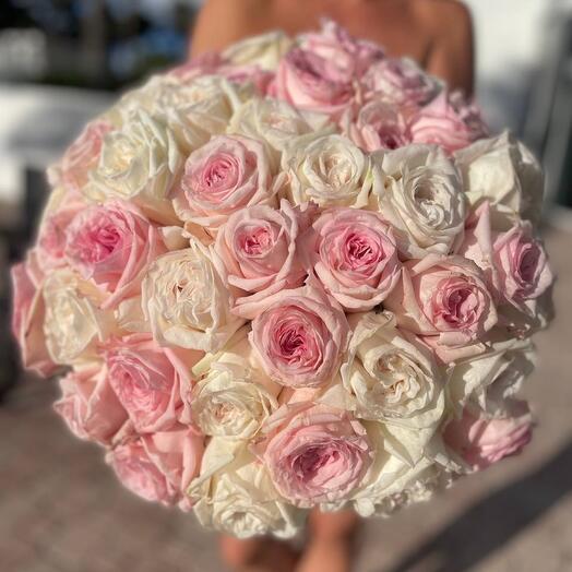 50 ağ və çəhrayı