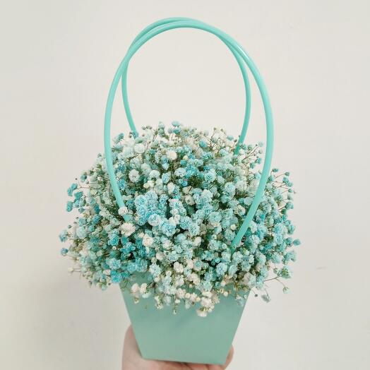 Gypsophila de menta en un bolso