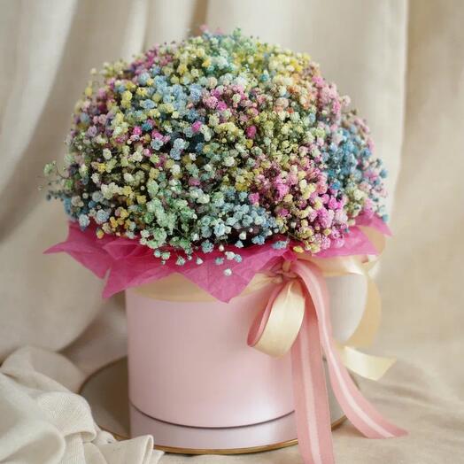 Flores en la Caja "gypsophila Rainbow"