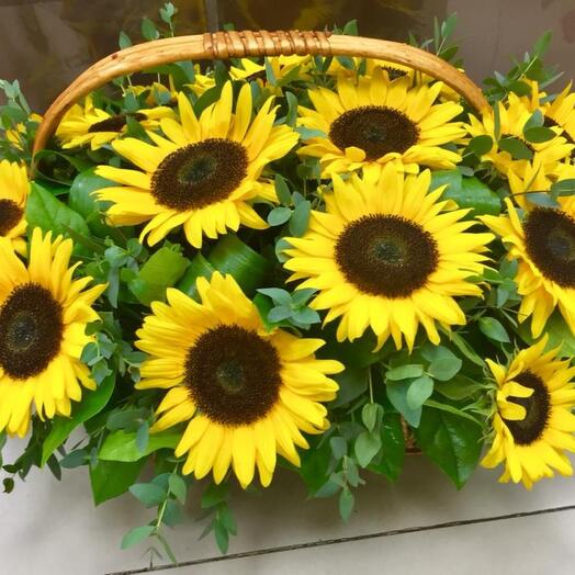 Sunflowers in a basket