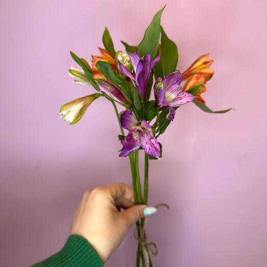 3 alstroemeria mix