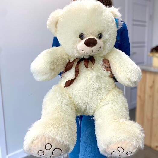 Oso De Peluche
