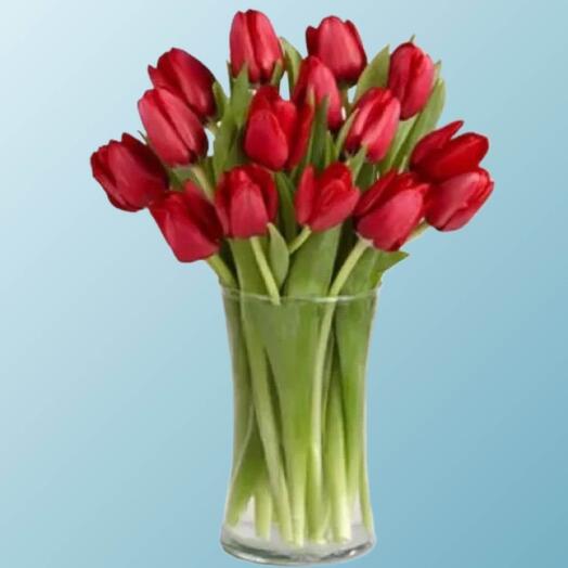 Red tulip vase