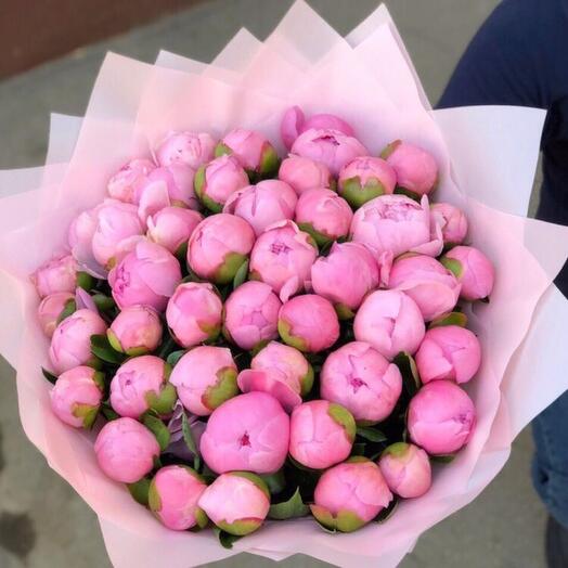 51 Pink Peonies