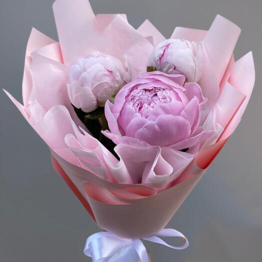 3 пиона Light Pink