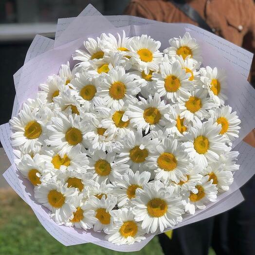 Large daisies 45