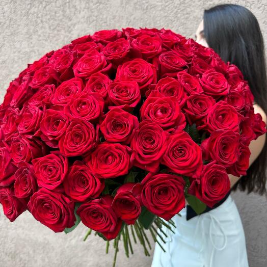 101 Rose red Naomi 60 cm bajo la cinta
