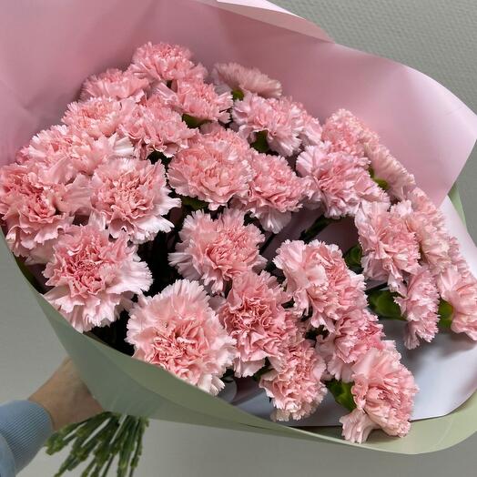 Un gran ramo de 31 Dianthus rosa suave