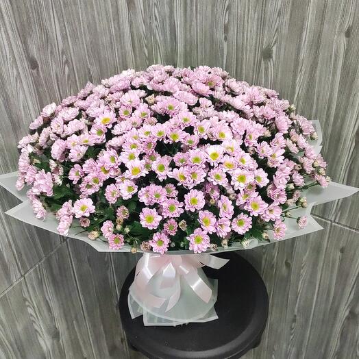 Букет из 49 кустовых хризантем