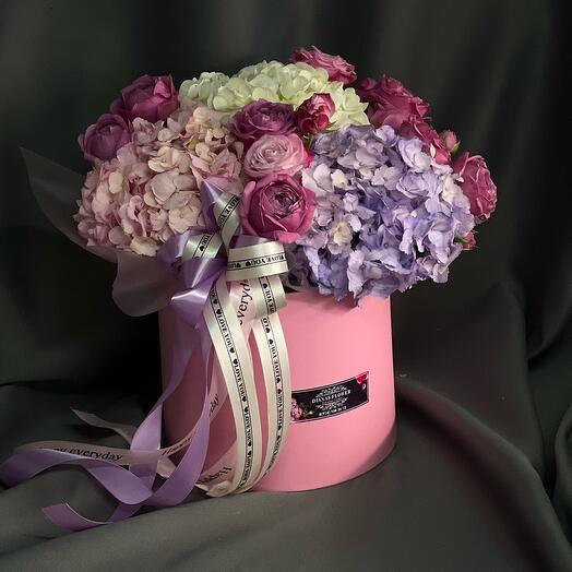 Hortensia en Caja
