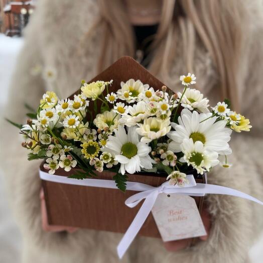 A daisy in an envelope