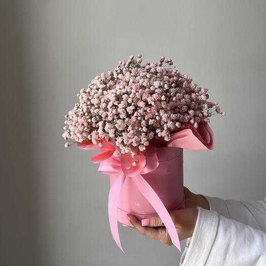 Гипсофила в коробке