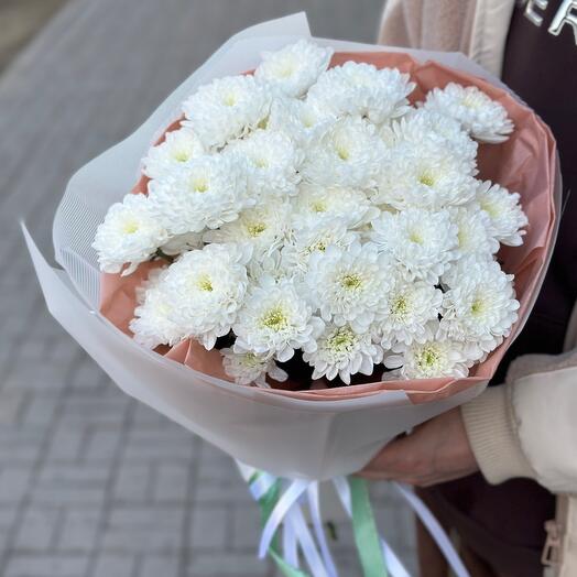 Моно хризантем М