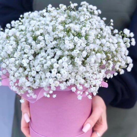 Flower Box light plasterwork