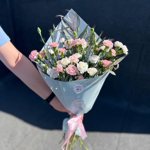 Carnations 🤍🩷