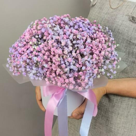 Gypsophila en Caja