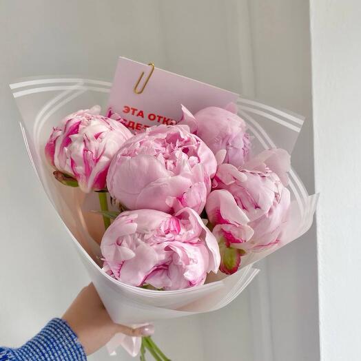 Pink peonies by Sara Bernarr WOW