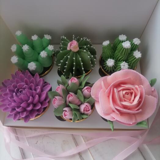 Cupcakes mix of colors