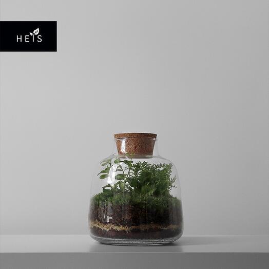Экосистема VASE S, Живые растения в Москве, купить по цене 4290 руб ...