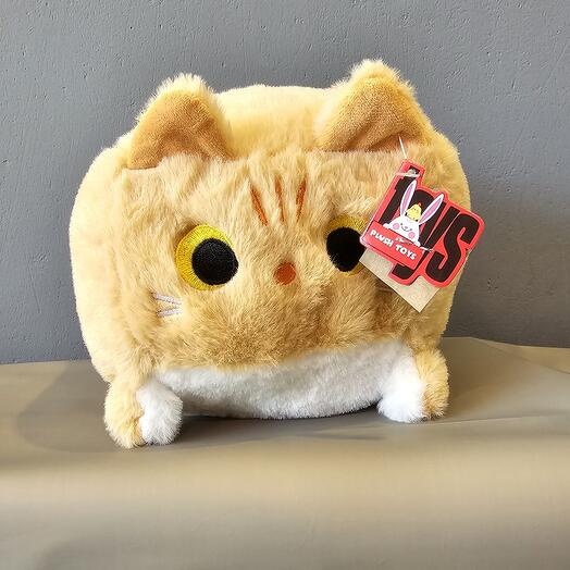 Квадратный котик