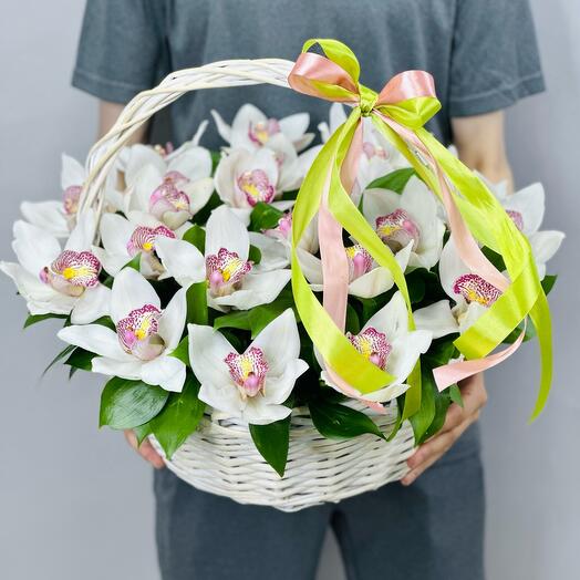 Cesta de orquídeas reales