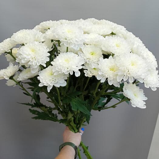 Алтай