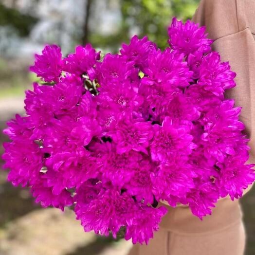 Букет из розовых хризантем