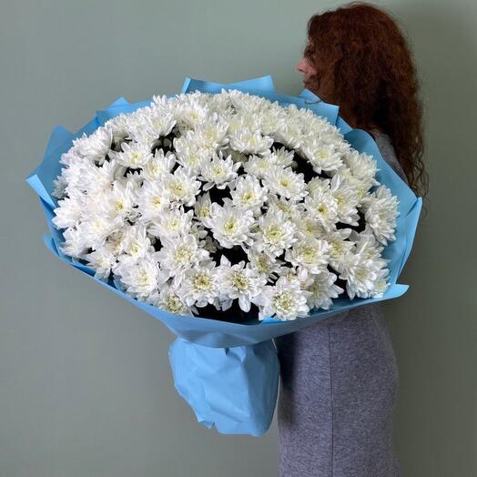 Букет из 25 хризантем кустовых