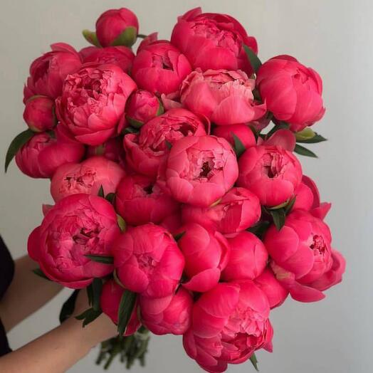 Bouquet of raspberry peonies