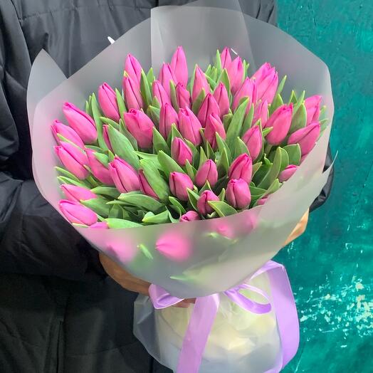 Tulips 🌷